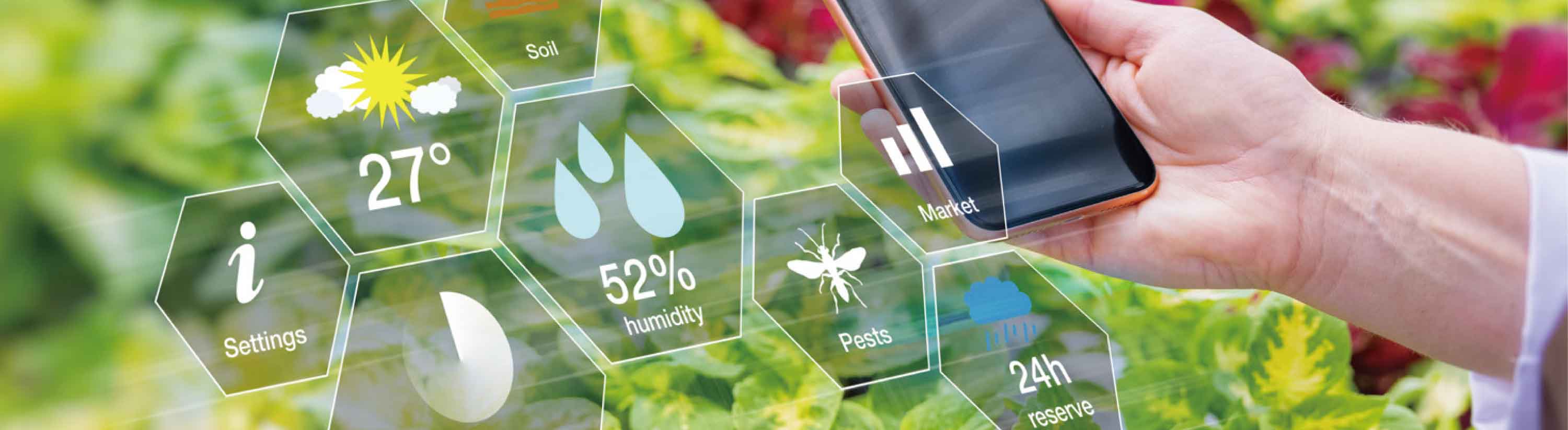 スマートアグリ事業